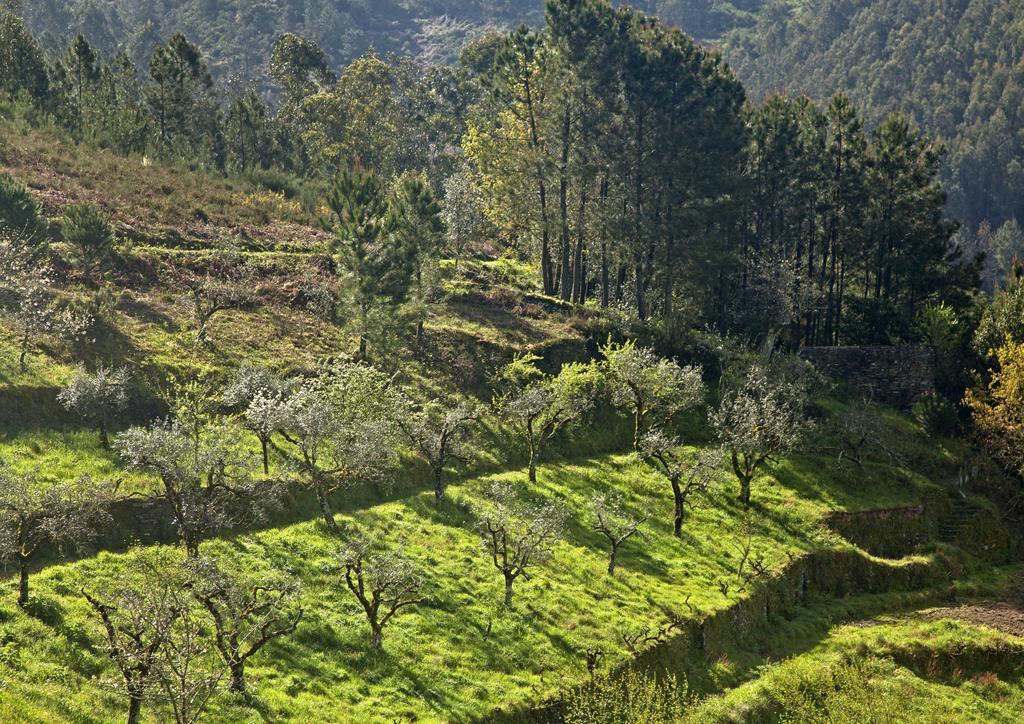 12 Meses Naturalmente Cerdeira 外观 照片